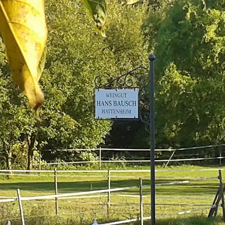 Weingut Hans Bausch Hattenheim Eksteriør billede