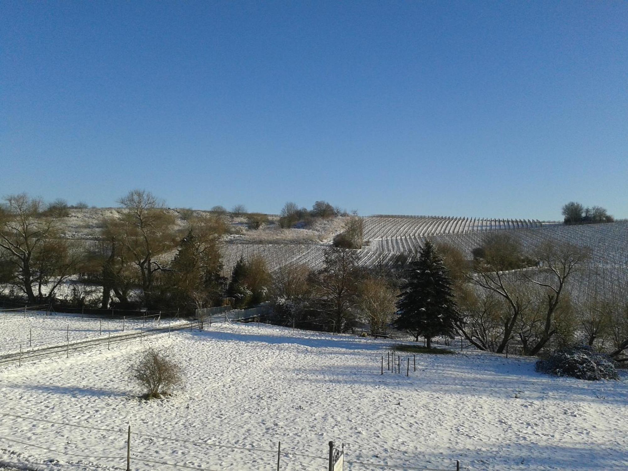 Weingut Hans Bausch Hattenheim